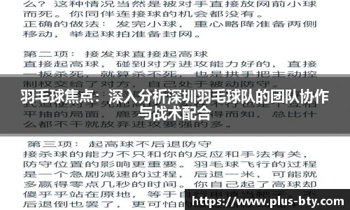 羽毛球焦点：深入分析深圳羽毛球队的团队协作与战术配合